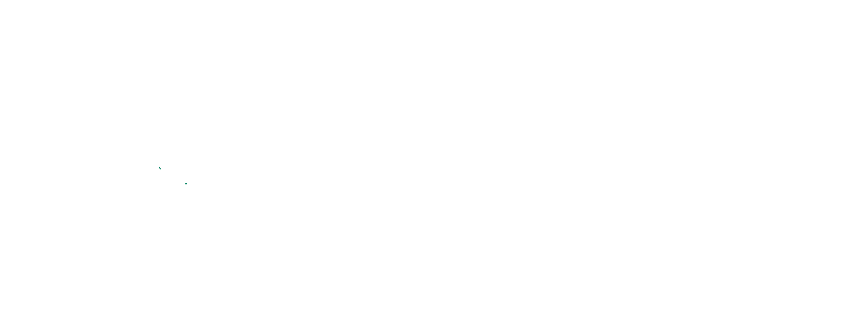CCPP Puno